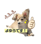 rayくんスタンプ（個別スタンプ：23）