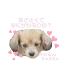 rayくんスタンプ（個別スタンプ：24）
