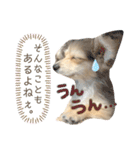 rayくんスタンプ（個別スタンプ：25）