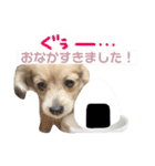 rayくんスタンプ（個別スタンプ：26）
