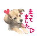 rayくんスタンプ（個別スタンプ：28）