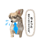 rayくんスタンプ（個別スタンプ：36）