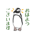 いろいろなペンギン その1（個別スタンプ：1）