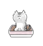 ゆるっとポンねこ（個別スタンプ：29）