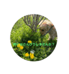 癒しの風景＆癒しのことば（個別スタンプ：8）