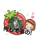 ネコ＆はな（個別スタンプ：2）
