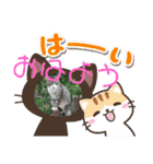 ネコ＆はな（個別スタンプ：3）