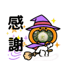 ネコ＆はな（個別スタンプ：12）
