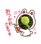 ネコ＆はな（個別スタンプ：14）