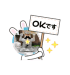 ネコ＆はな（個別スタンプ：24）