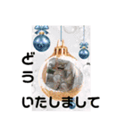 ネコ＆はな（個別スタンプ：30）