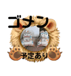 ネコ＆はな（個別スタンプ：35）