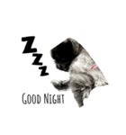 ☁구름☁️（個別スタンプ：3）
