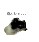 ☁구름☁️（個別スタンプ：5）