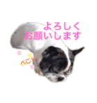 タラコであります。（個別スタンプ：5）