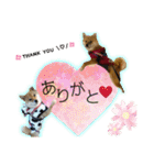 豆柴あずき❤（個別スタンプ：3）