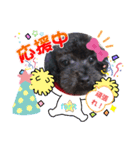 黒プードル犬 可愛いスタンプ！（個別スタンプ：2）