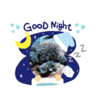 黒プードル犬 可愛いスタンプ！（個別スタンプ：7）