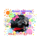 黒プードル犬 可愛いスタンプ！（個別スタンプ：8）