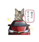 アルナハ(総集編+おまけ)（個別スタンプ：2）