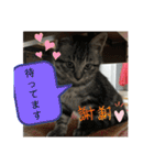 アルナハ(総集編+おまけ)（個別スタンプ：6）