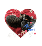 アルナハ(総集編+おまけ)（個別スタンプ：7）