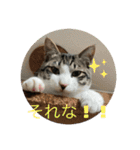 アルナハ(総集編+おまけ)（個別スタンプ：8）