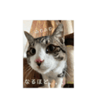 アルナハ(総集編+おまけ)（個別スタンプ：9）