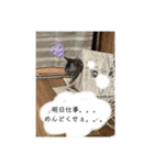 アルナハ(総集編+おまけ)（個別スタンプ：10）