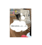 アルナハ(総集編+おまけ)（個別スタンプ：11）