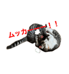 アルナハ(総集編+おまけ)（個別スタンプ：17）