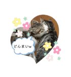 アルナハ(総集編+おまけ)（個別スタンプ：18）