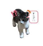 アルナハ(総集編+おまけ)（個別スタンプ：20）