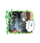 アルナハ(総集編+おまけ)（個別スタンプ：21）