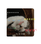 アルナハ(総集編+おまけ)（個別スタンプ：22）