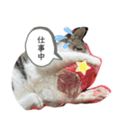 アルナハ(総集編+おまけ)（個別スタンプ：23）