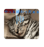 アルナハ(総集編+おまけ)（個別スタンプ：29）