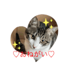 アルナハ(総集編+おまけ)（個別スタンプ：31）