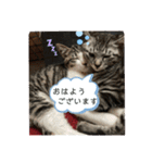アルナハ(総集編+おまけ)（個別スタンプ：33）