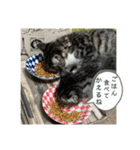アルナハ(総集編+おまけ)（個別スタンプ：35）