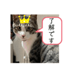 アルナハ(総集編+おまけ)（個別スタンプ：36）