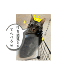 アルナハ(総集編+おまけ)（個別スタンプ：37）