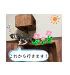 アルナハ(総集編+おまけ)（個別スタンプ：38）