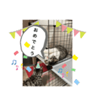 アルナハ(総集編+おまけ)（個別スタンプ：40）