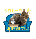 Johnny ＆ Chocola ❺（個別スタンプ：6）