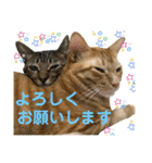 Johnny ＆ Chocola ❺（個別スタンプ：18）