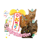 Johnny ＆ Chocola ❺（個別スタンプ：30）
