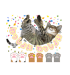 Johnny ＆ Chocola ❺（個別スタンプ：31）