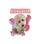 むうたんスタンプ♡（個別スタンプ：13）