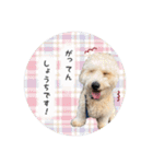 むうたんスタンプ♡（個別スタンプ：20）
